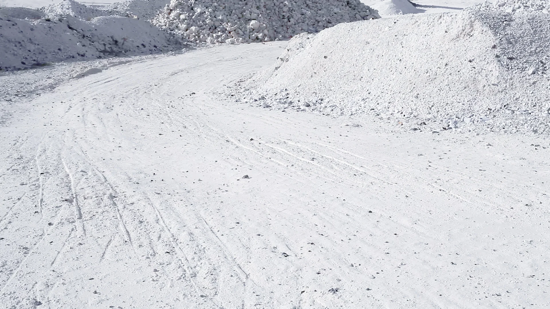 Neandertal - Discovery Set