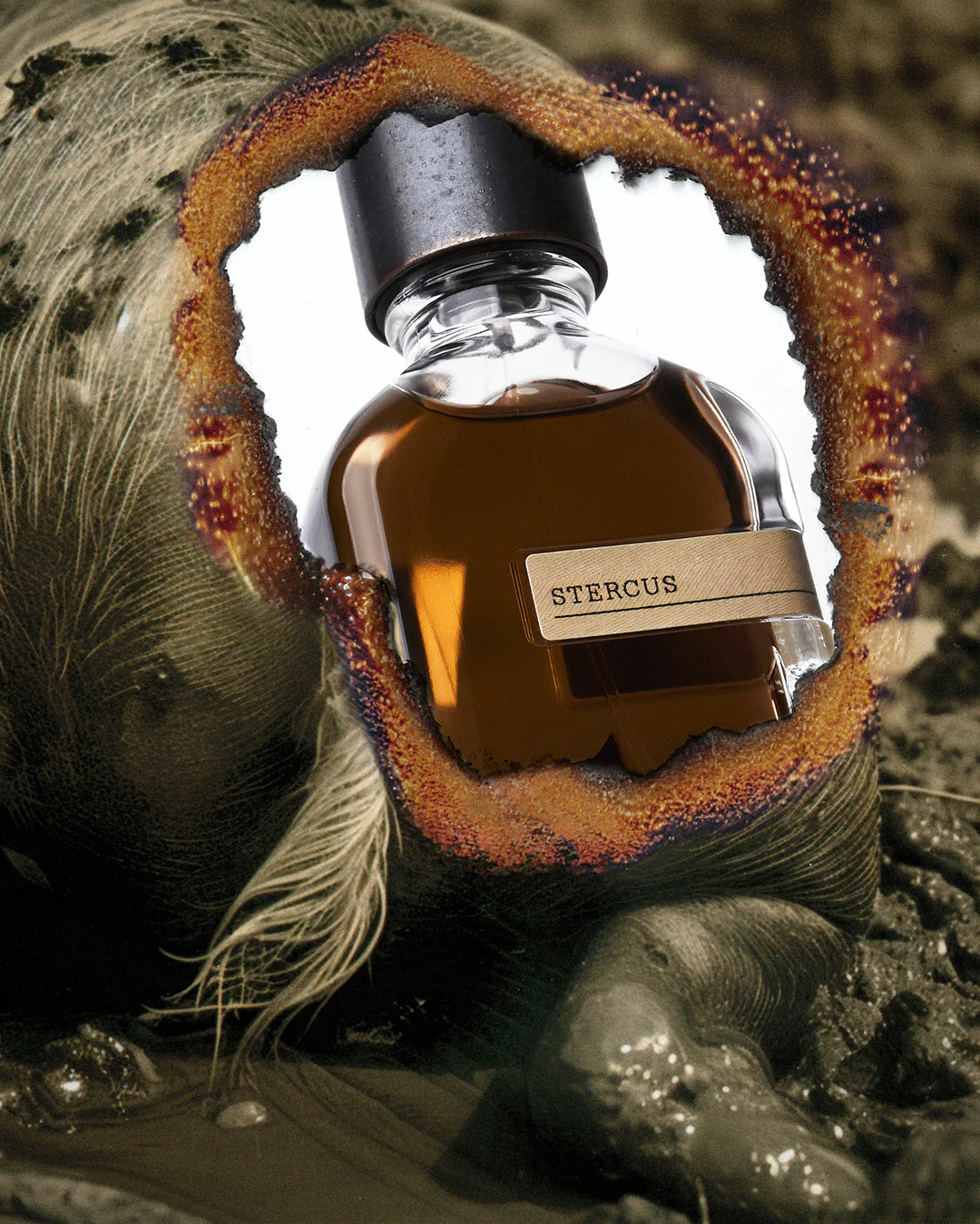 Orto Parisi - STERCUS. Parfum 50 ml