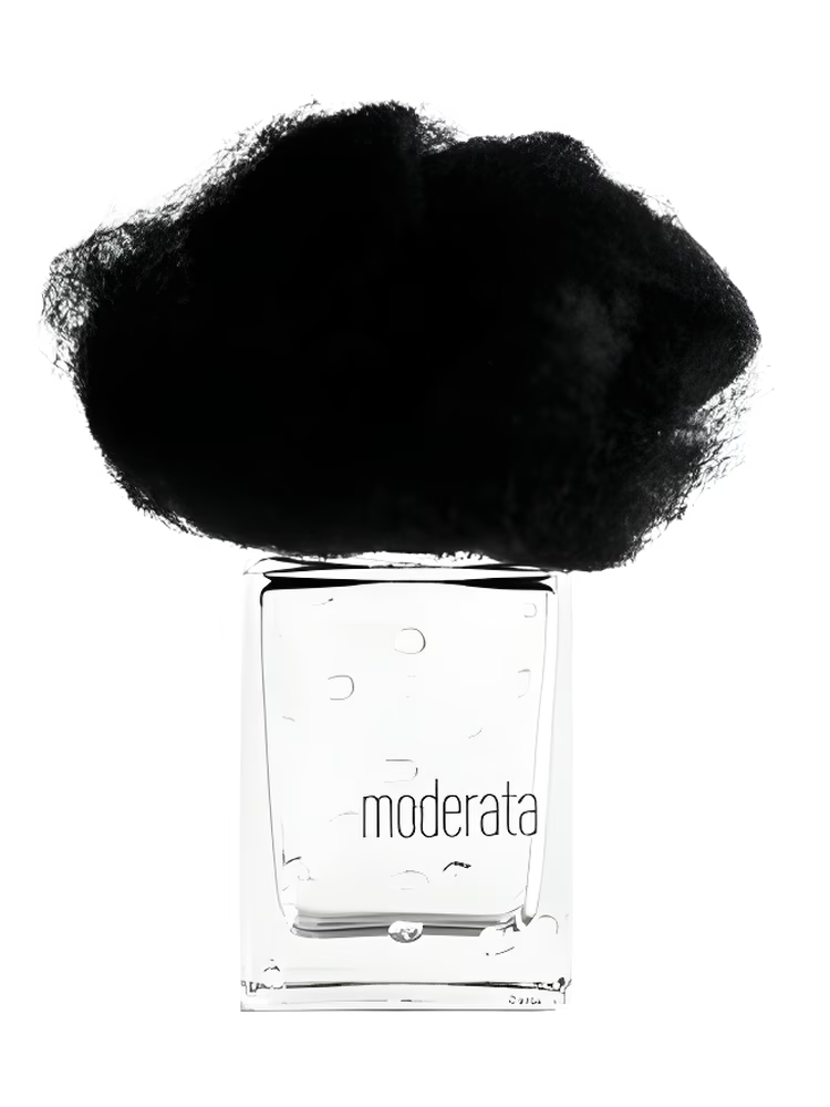 Filippo Sorcinelli - PIOGGIA MODERATA